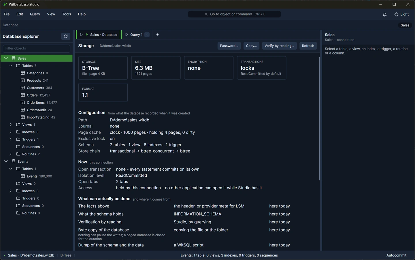 The Database tab for a B+Tree database: storage engine and page size, file size and page count, encryption, transactions and isolation, format version, the journal, the page cache, the store chain, and who holds the lock.